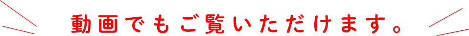 動画でもご覧いただけます